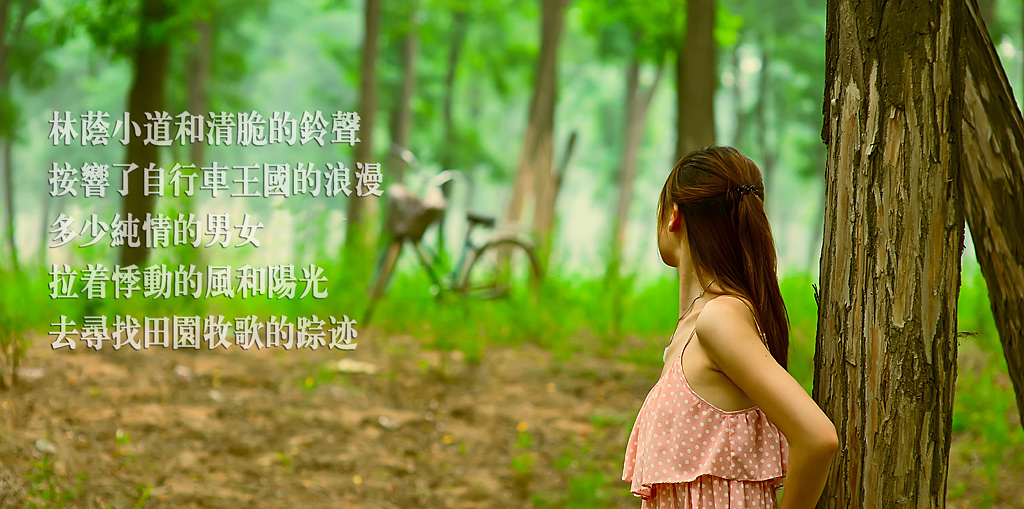 单车记忆