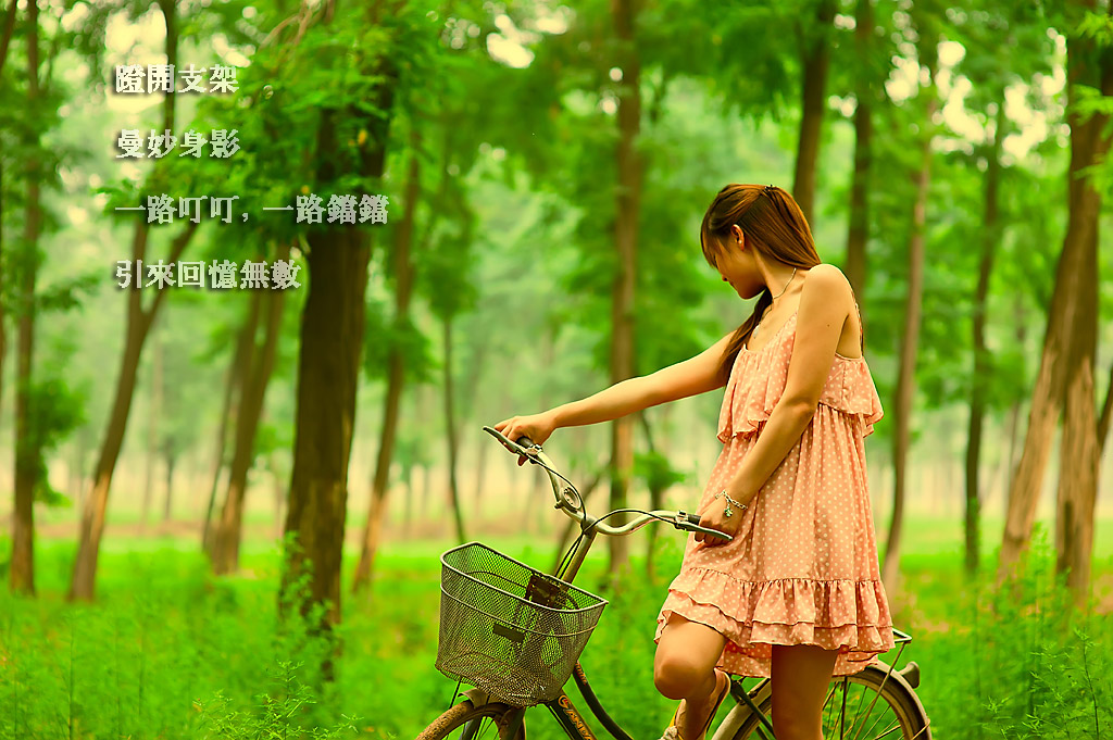 单车记忆