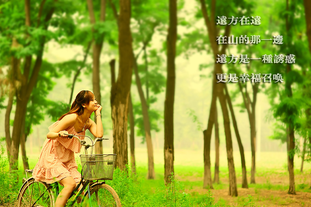 单车记忆