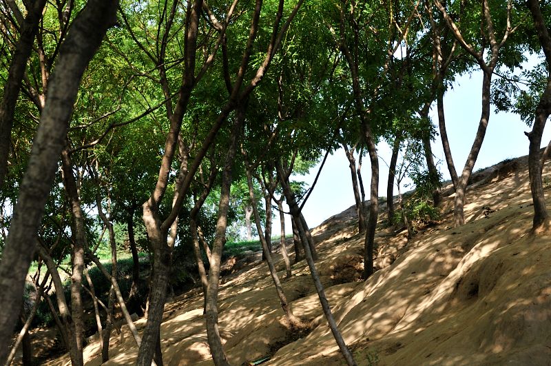 [原创]