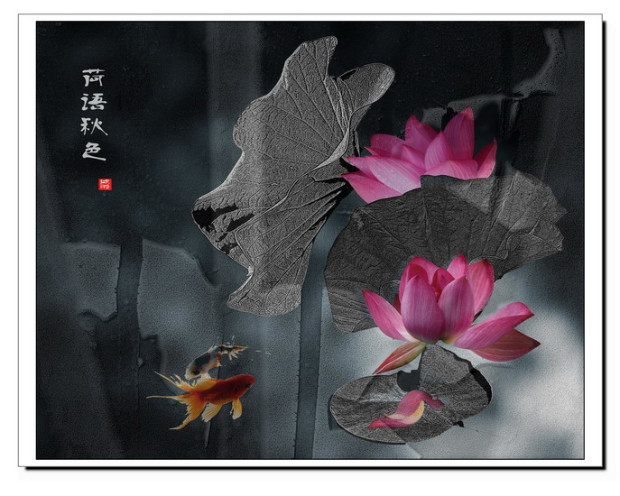[原创]又见荷花----续