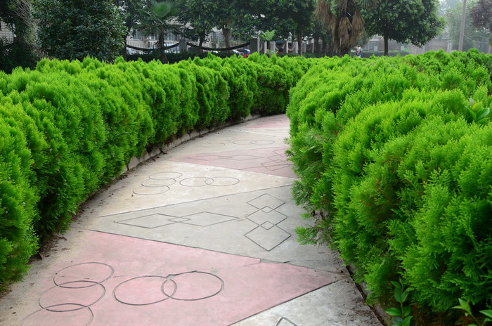 我家的后花园