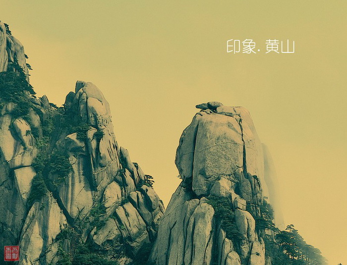 怎么作出来的？