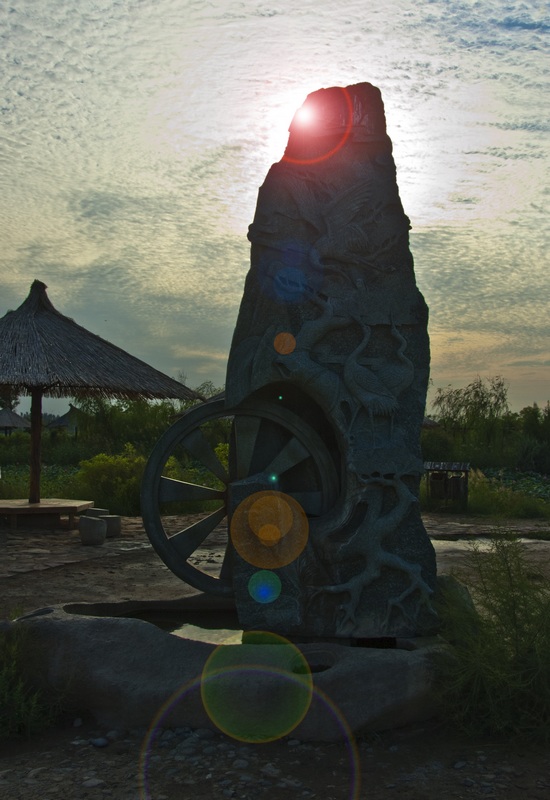 宁夏银川鸣翠湖国家湿地公园风光
