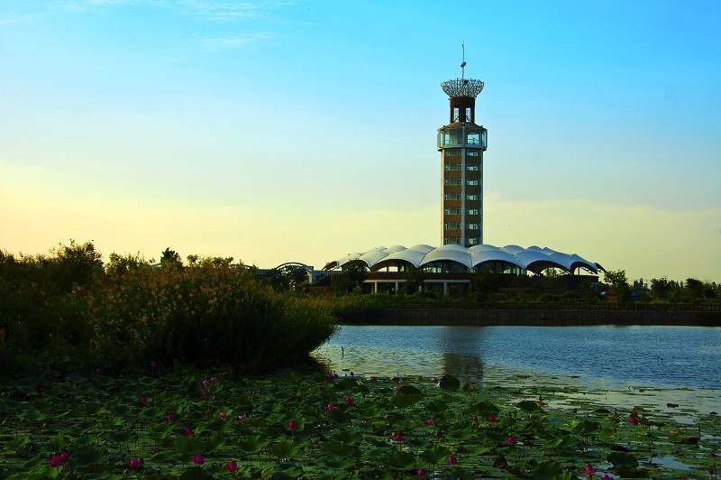 宁夏银川鸣翠湖国家湿地公园风光