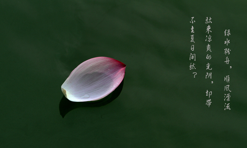[原创]  花开时节虫鸟鸣