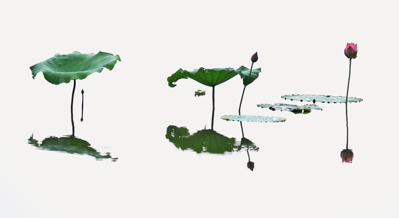 淮阳行