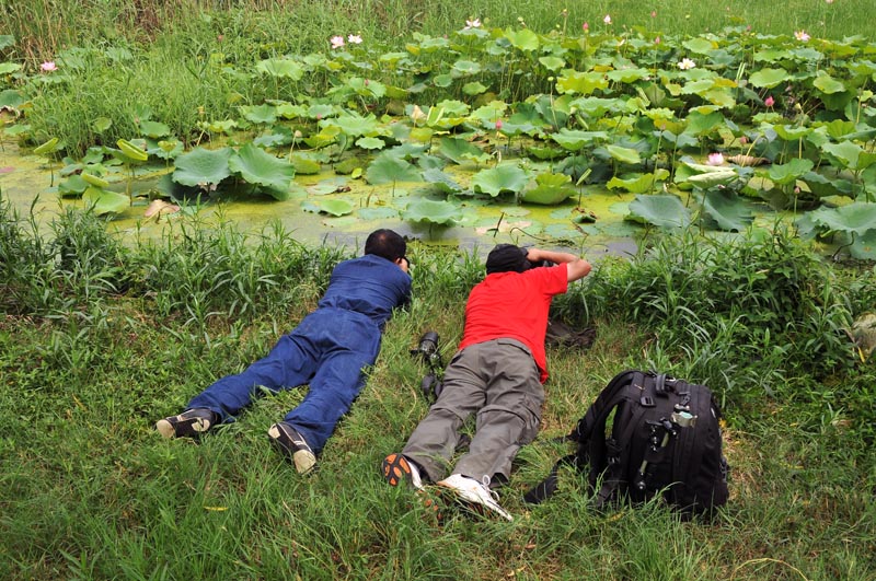 淮阳行