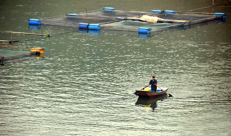 小雨，小浪底