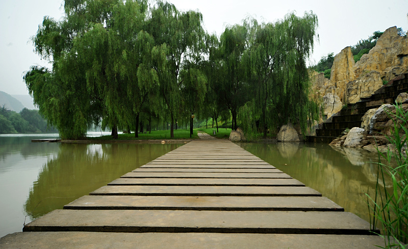 小雨，小浪底