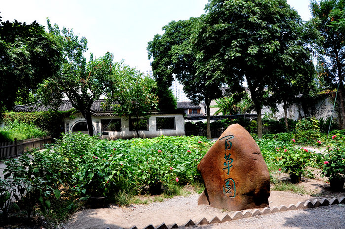 民族脊梁