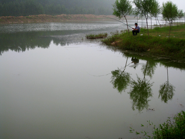 黄河湿地垂钓图