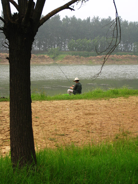 黄河湿地垂钓图