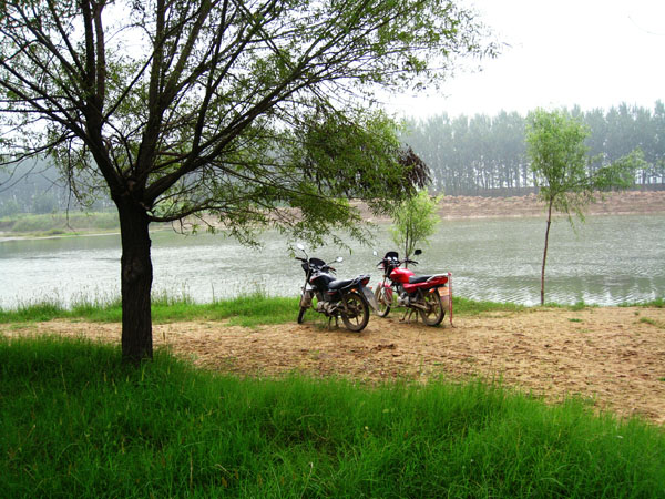 黄河湿地垂钓图