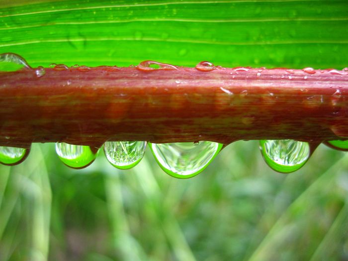 雨趣