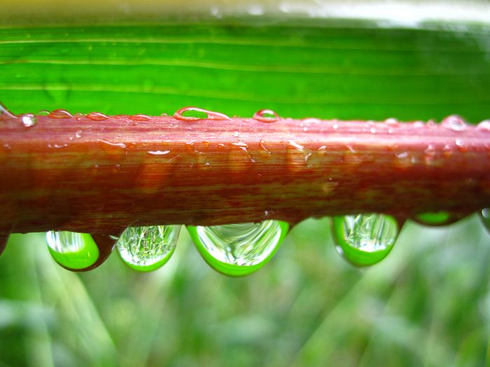 雨趣