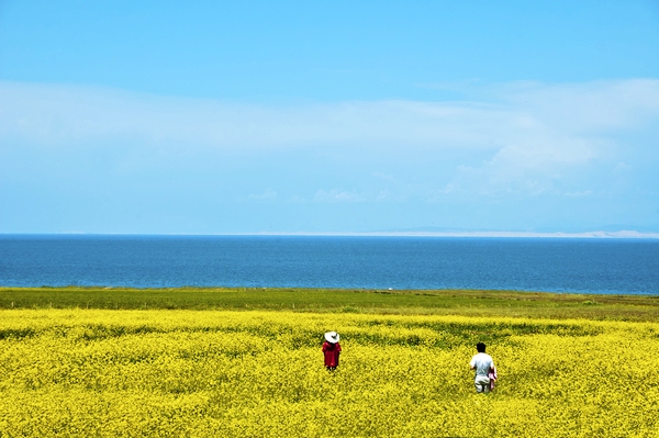 青海之行