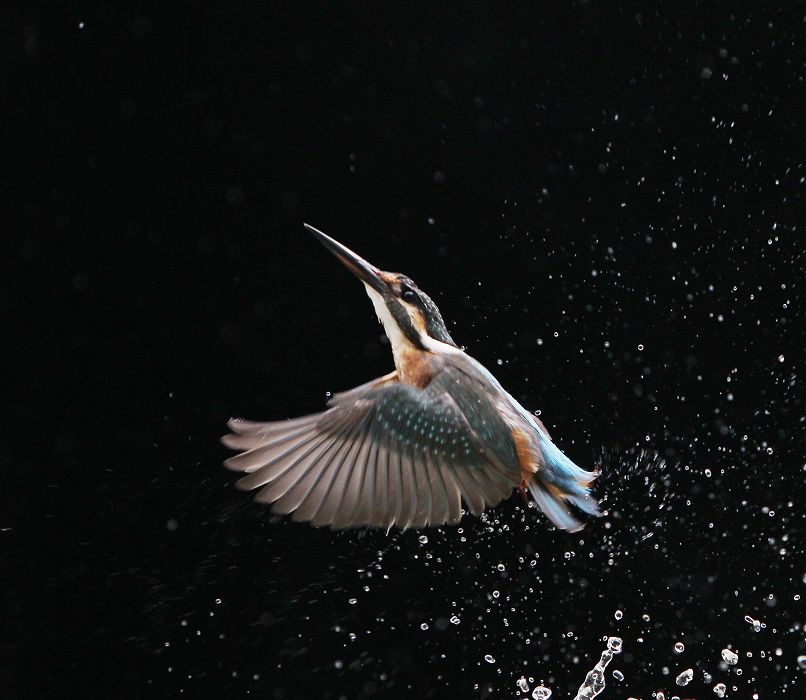 浪花小翠