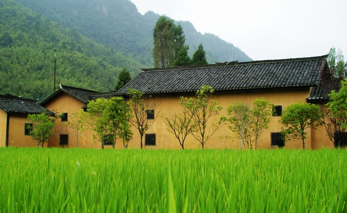 小米饭南瓜汤。。。。！