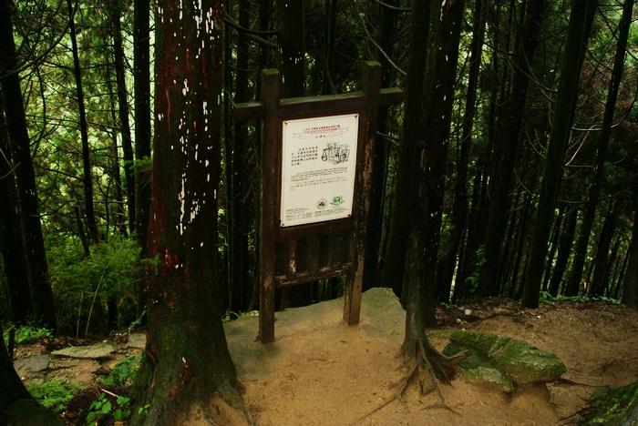小米饭南瓜汤。。。。！