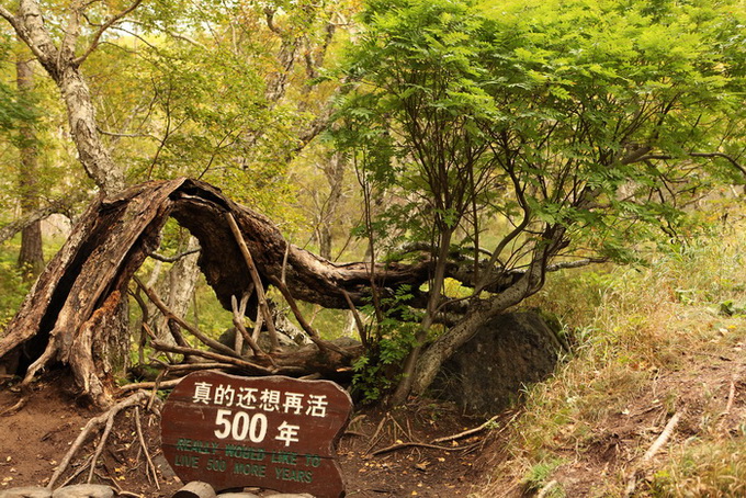 东北部分地方景色