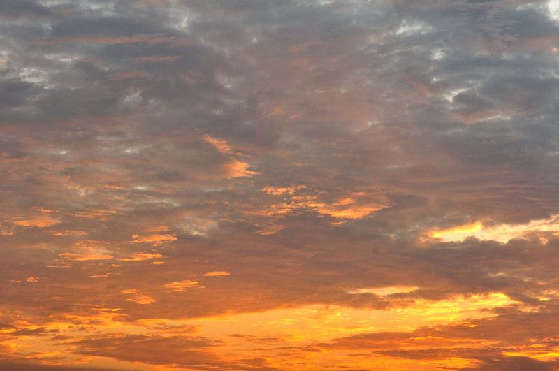 [原创]晨光