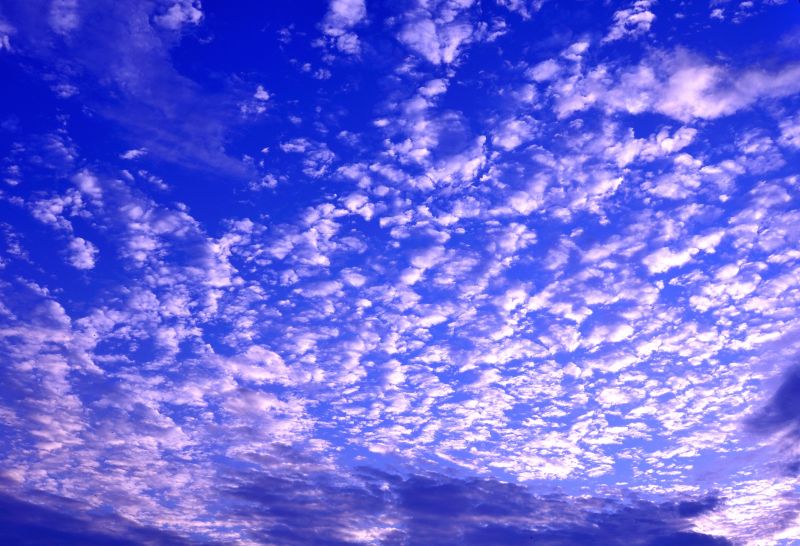 [原创]晨光