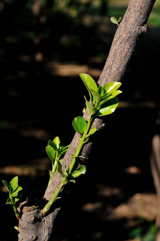 [原创]戚城秋日