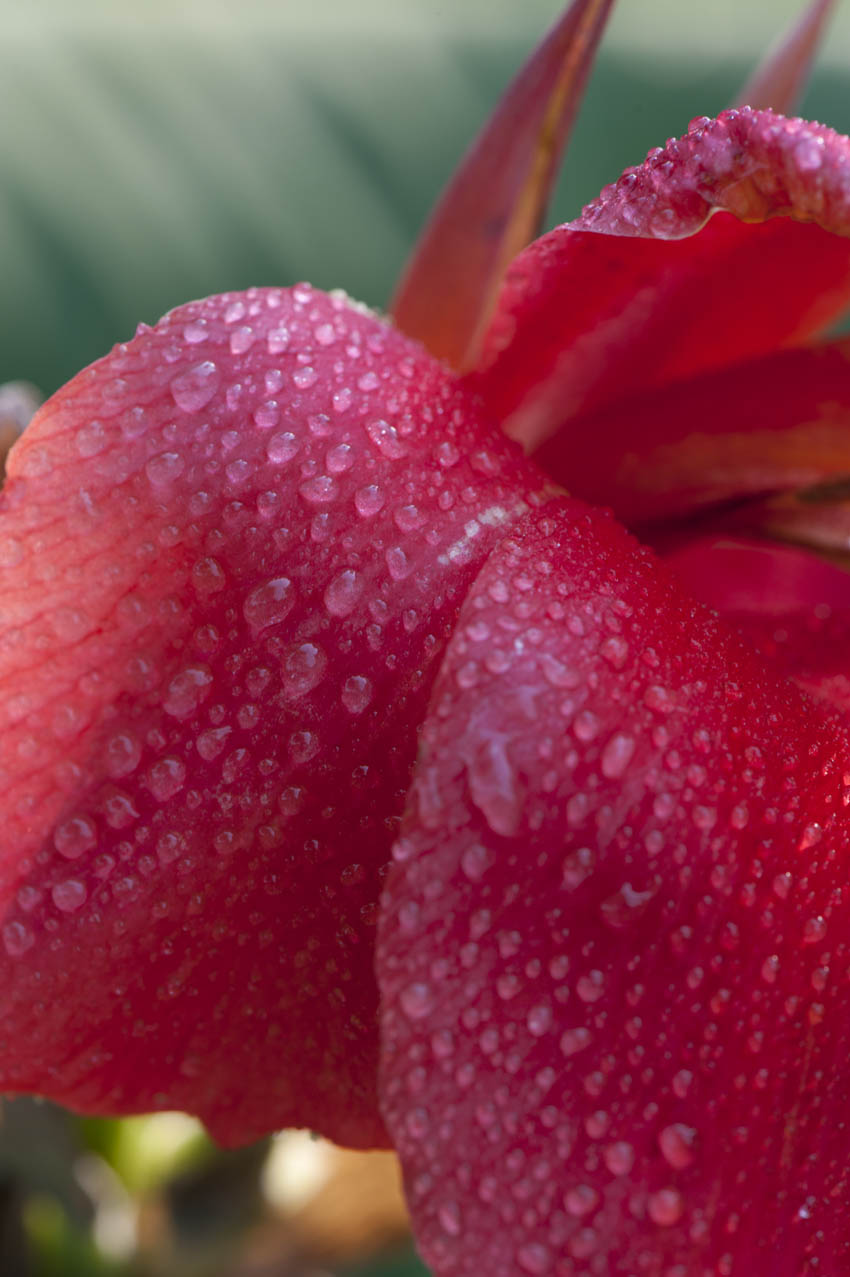 [原创]秋季花儿别样颜