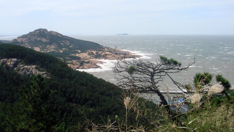 威海、威海、还是威海