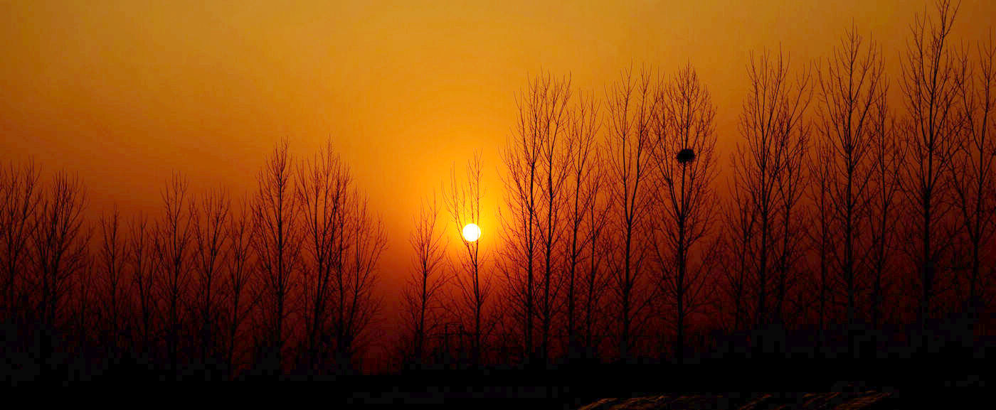 [原创]夕阳
