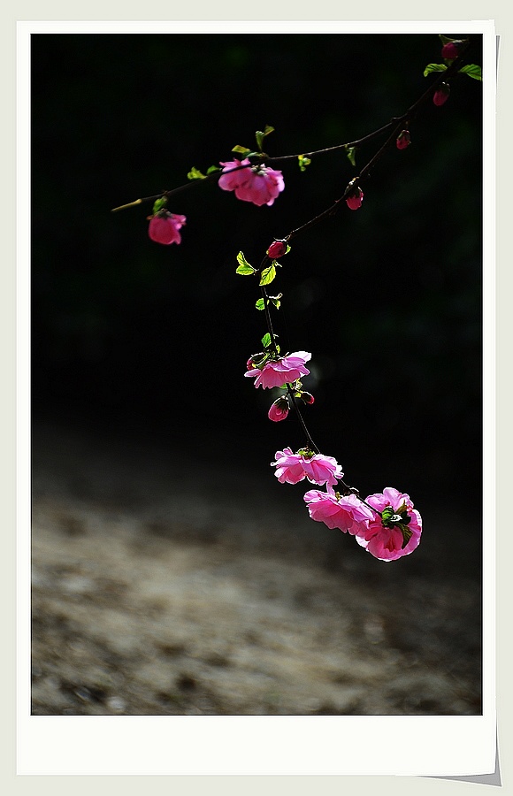 就快春暖花开