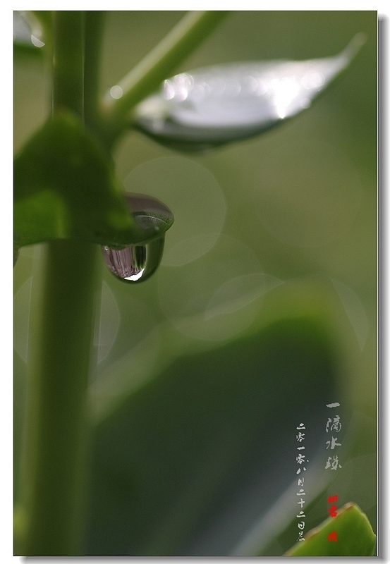 一滴水珠