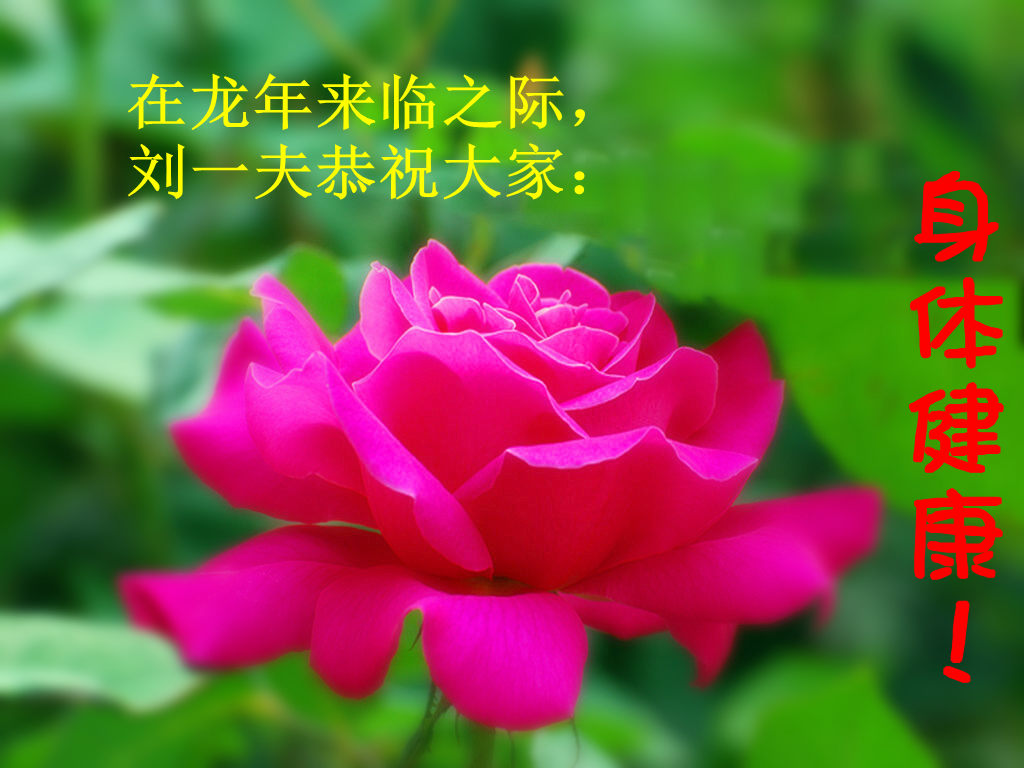 [原创]提前拜年