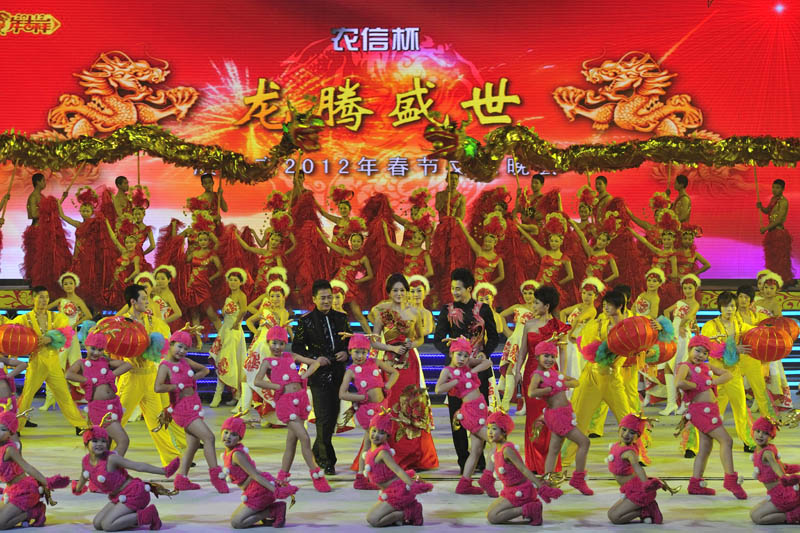 [原创]濮阳市2012年春节晚会抓拍
