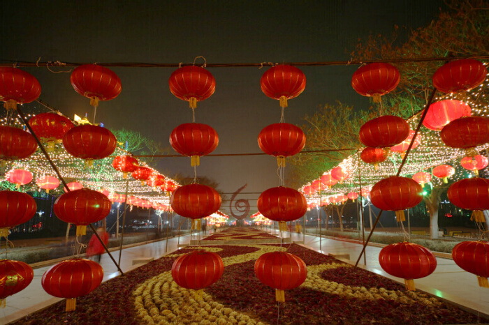 新年快乐 龙年大吉