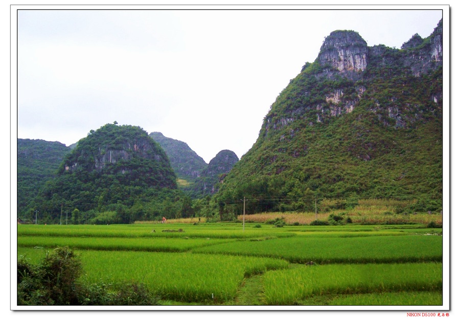 沿途景色