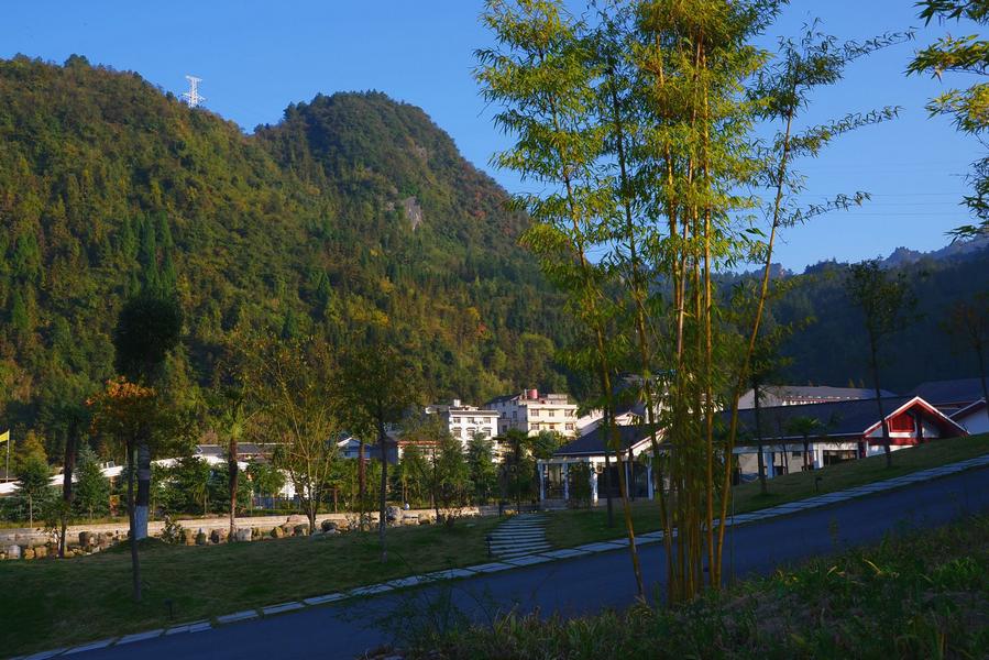 张家界游记2