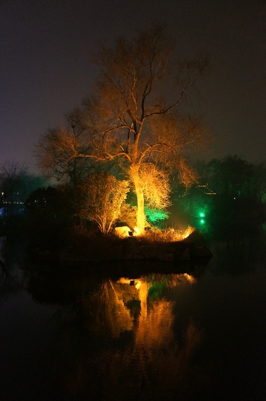 济南大明湖夜景