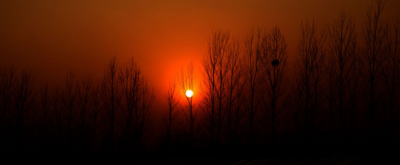 [原创]夕阳