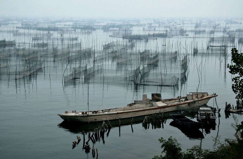 雾锁湖光映秀色---东平湖