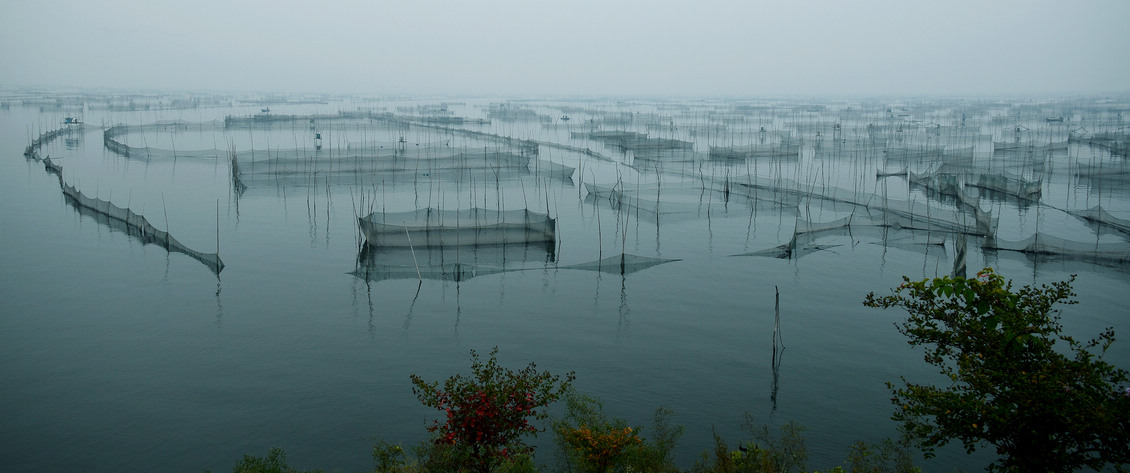 雾锁湖光映秀色---东平湖