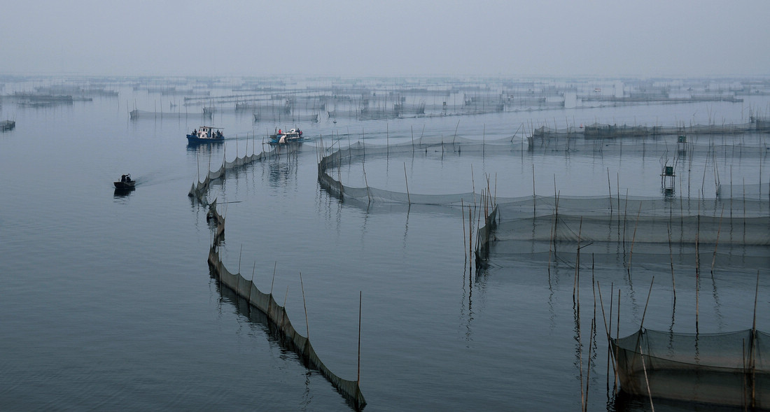 雾锁湖光映秀色---东平湖