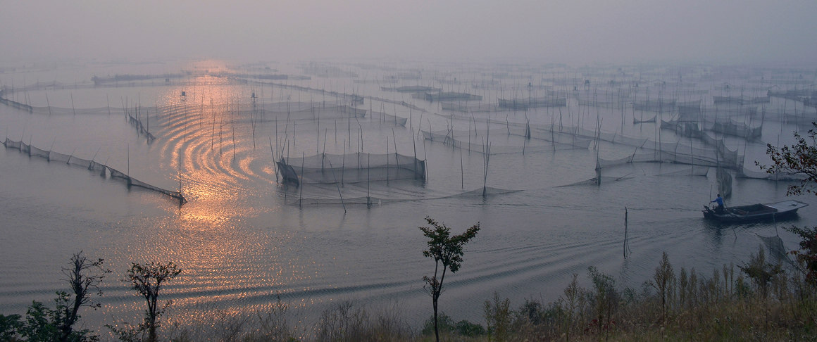 雾锁湖光映秀色---东平湖