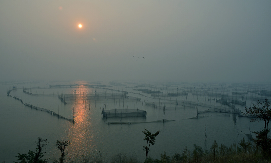 雾锁湖光映秀色---东平湖