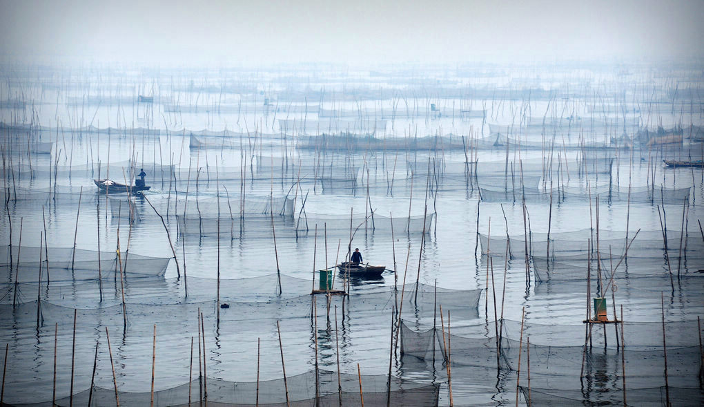雾锁湖光映秀色---东平湖
