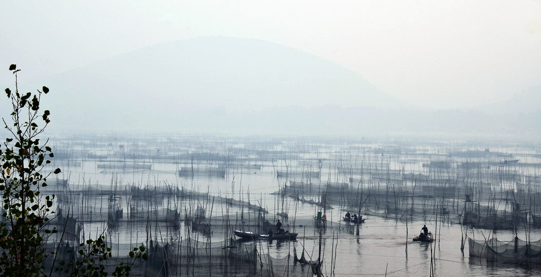 雾锁湖光映秀色---东平湖