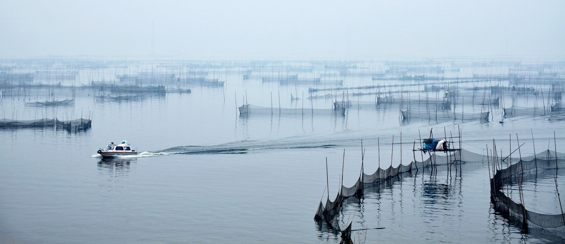 雾锁湖光映秀色---东平湖