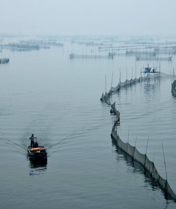雾锁湖光映秀色---东平湖