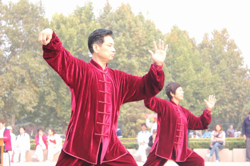 濮阳太极拳的以柔克钢